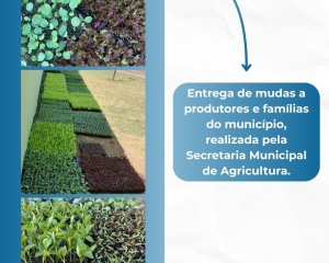 de-olho-nas-acoes-20.jpg
